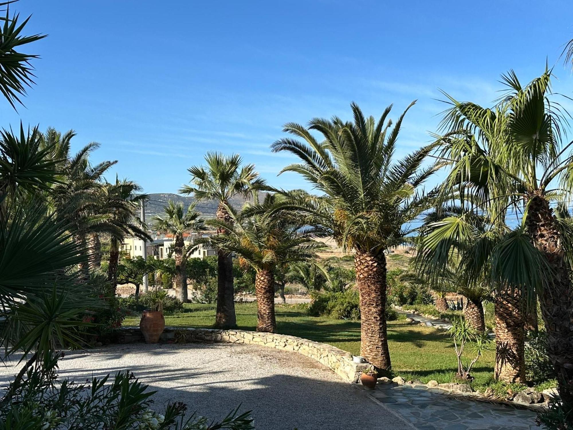 Hotel Plakures Falasarna Bagian luar foto