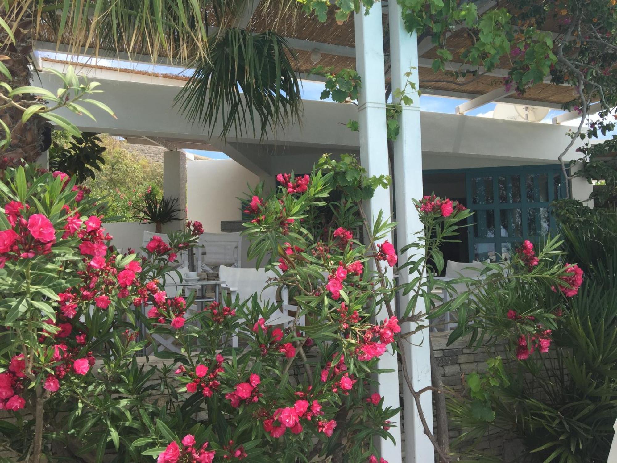 Hotel Plakures Falasarna Bagian luar foto