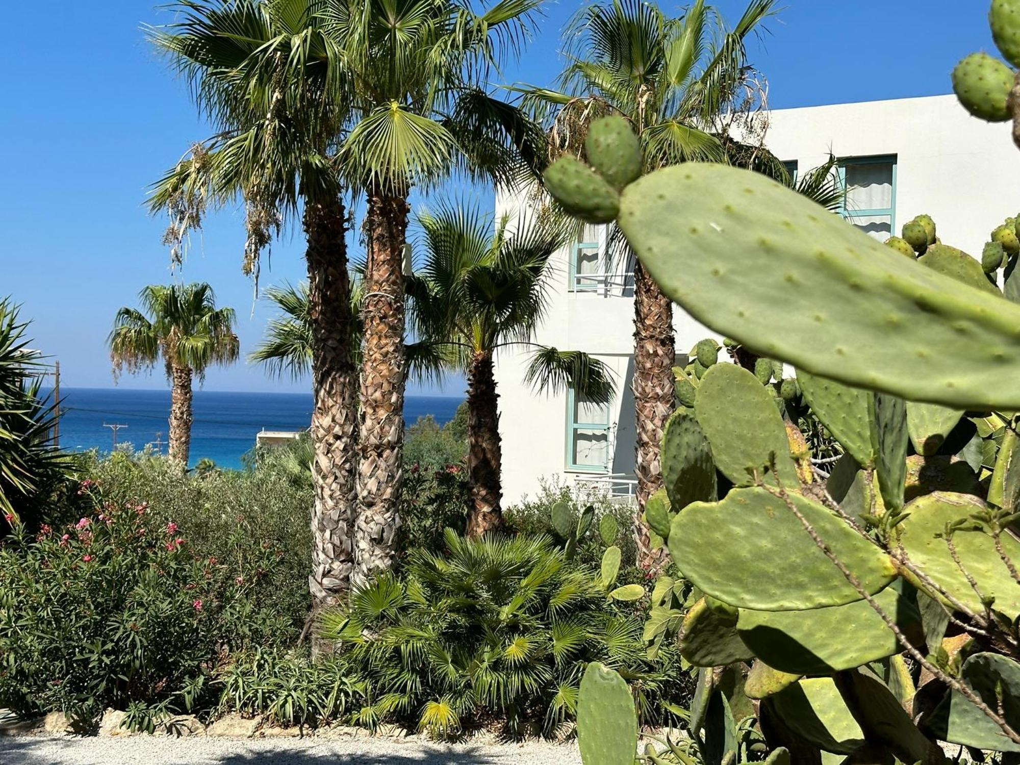 Hotel Plakures Falasarna Bagian luar foto